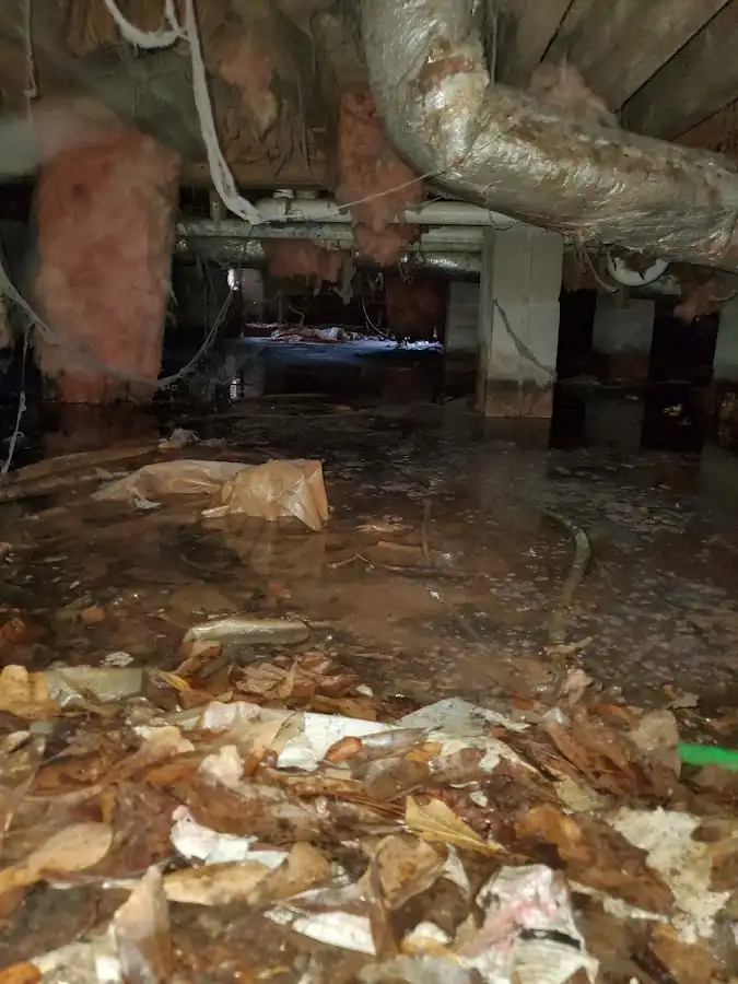Crawl space flood assessment for Leak Detection & Repair in Drexel Heights